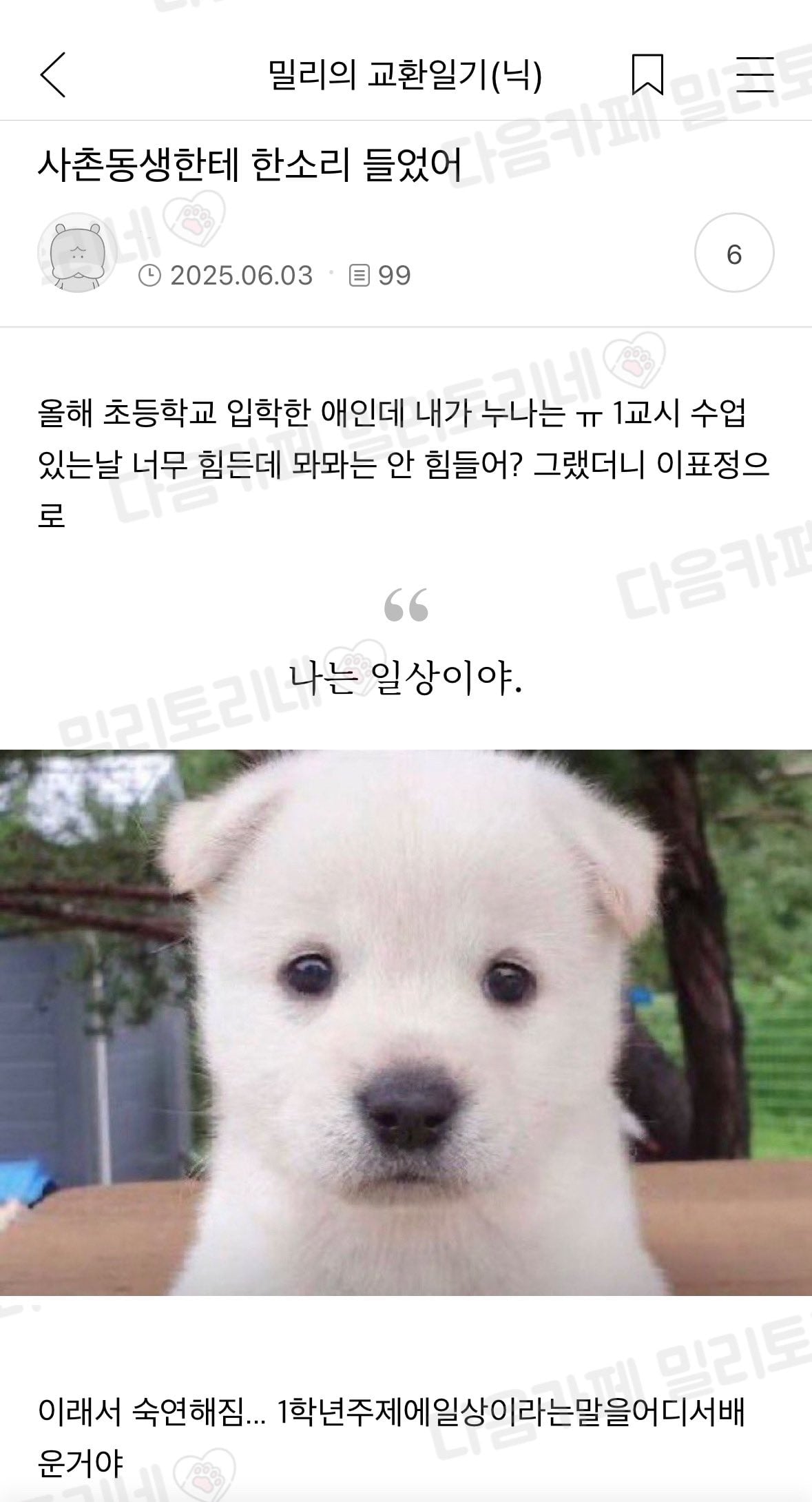 사촌동생에게 한소리 들은 사람 | 인스티즈