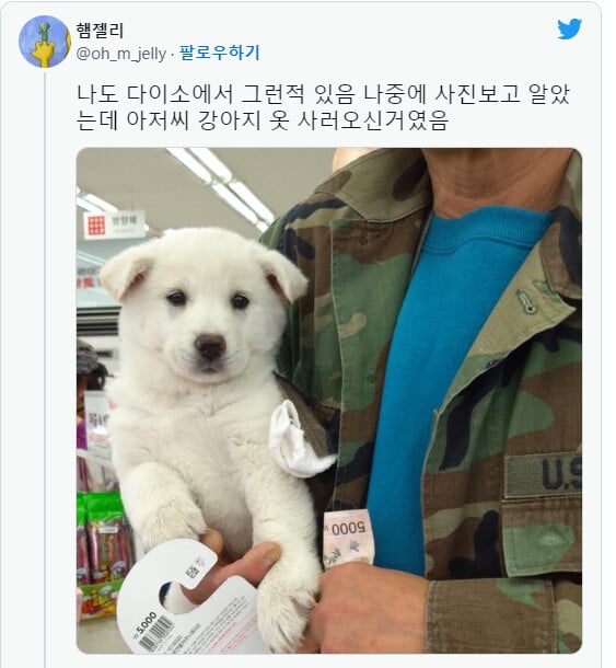 술먹는데 모르는 아저씨가 강아지 보여주고 감.JPG | 인스티즈