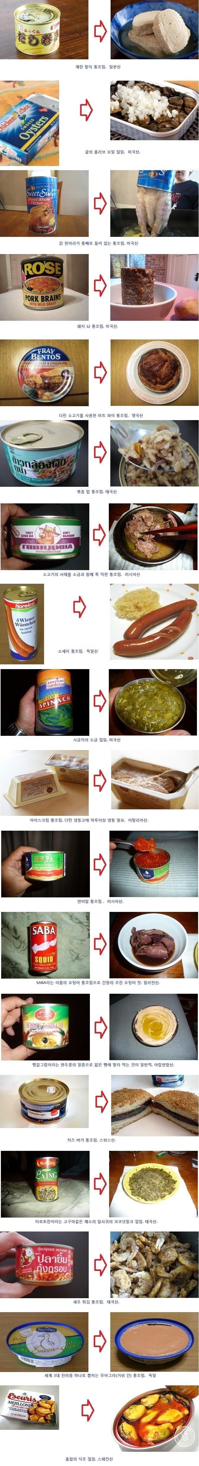 세계의 통조림 모음 | 인스티즈