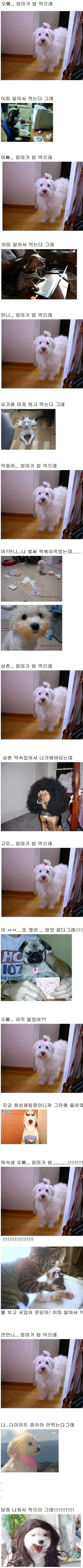 오빠 엄마가 밥 먹으래 | 인스티즈