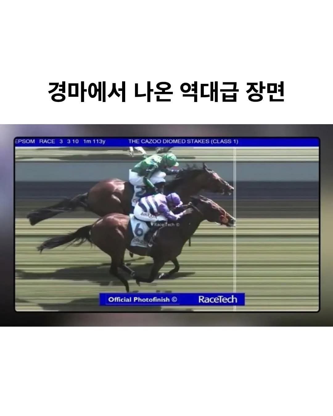 경마에서 나온 역대급 장면 | 인스티즈