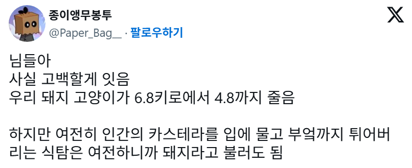 기특복복상 내려야하는 2키로 감량한 고양이 | 인스티즈