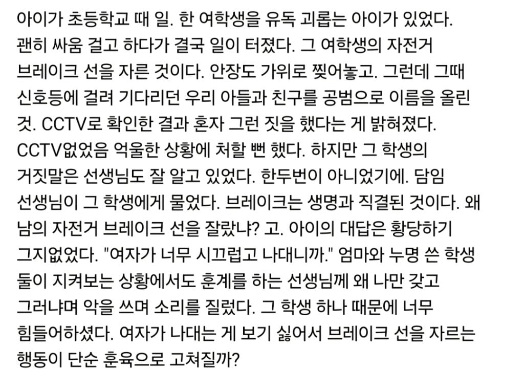 여자가 나대는 게 싫어서 자전거 브레이크 선을 잘랐다 | 인스티즈