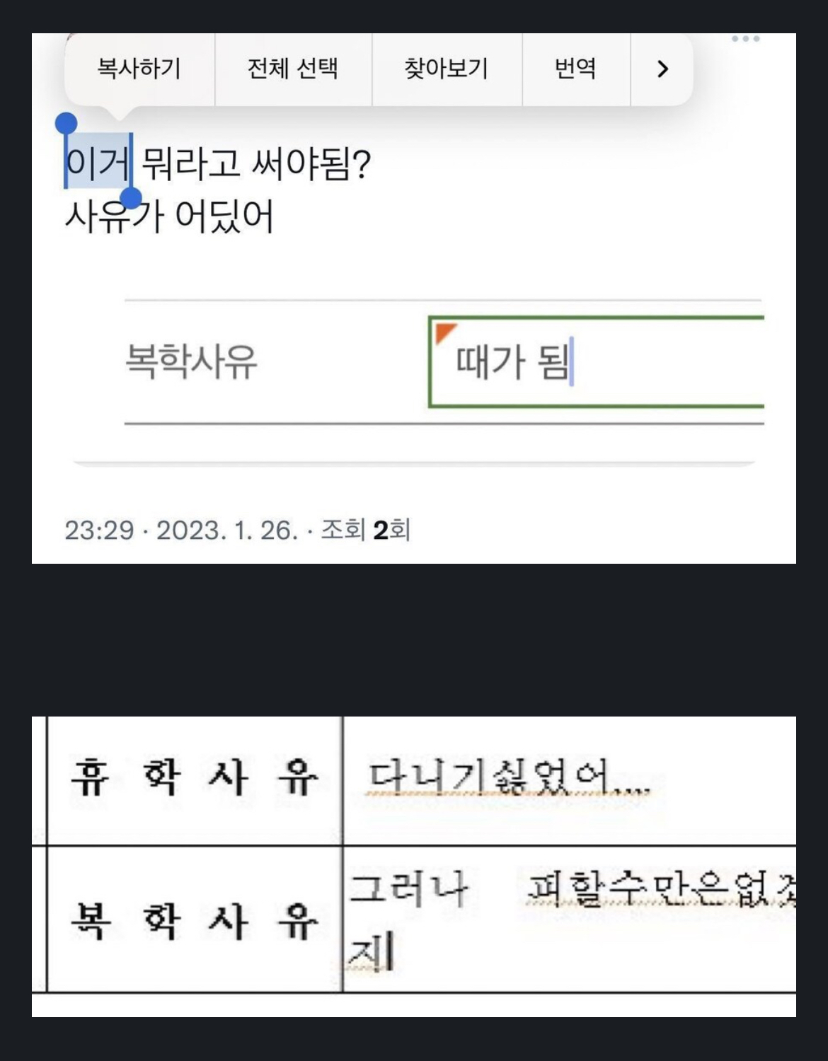 복학 사유에 대체 뭐라 써야함? | 인스티즈