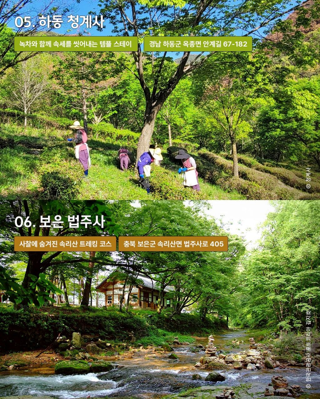 속세 탈출 템플스테이 추천 16곳 | 인스티즈