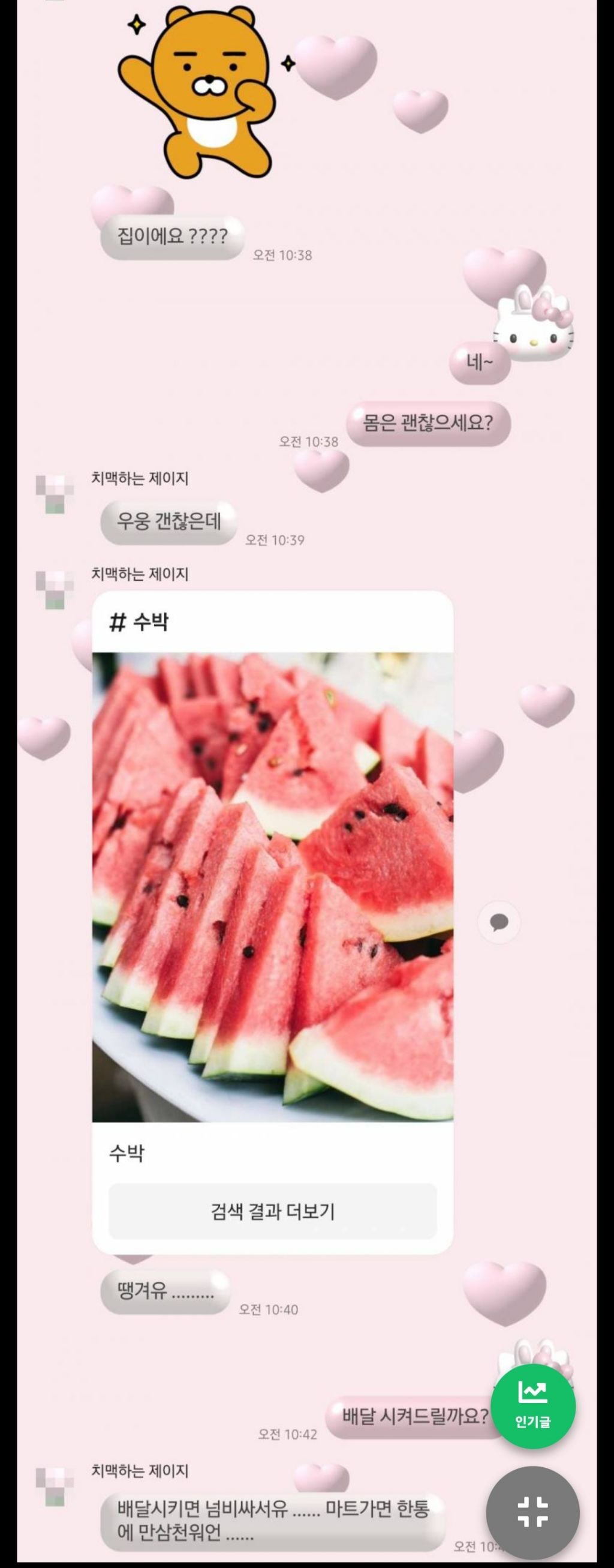 새언니 이거 나보고 수박 사다달라는 거 맞지? | 인스티즈