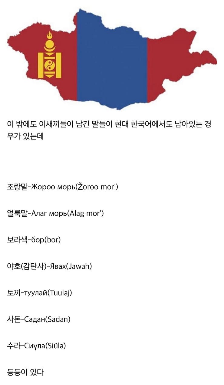 의외로 몽골어가 어원인 단어들 | 인스티즈