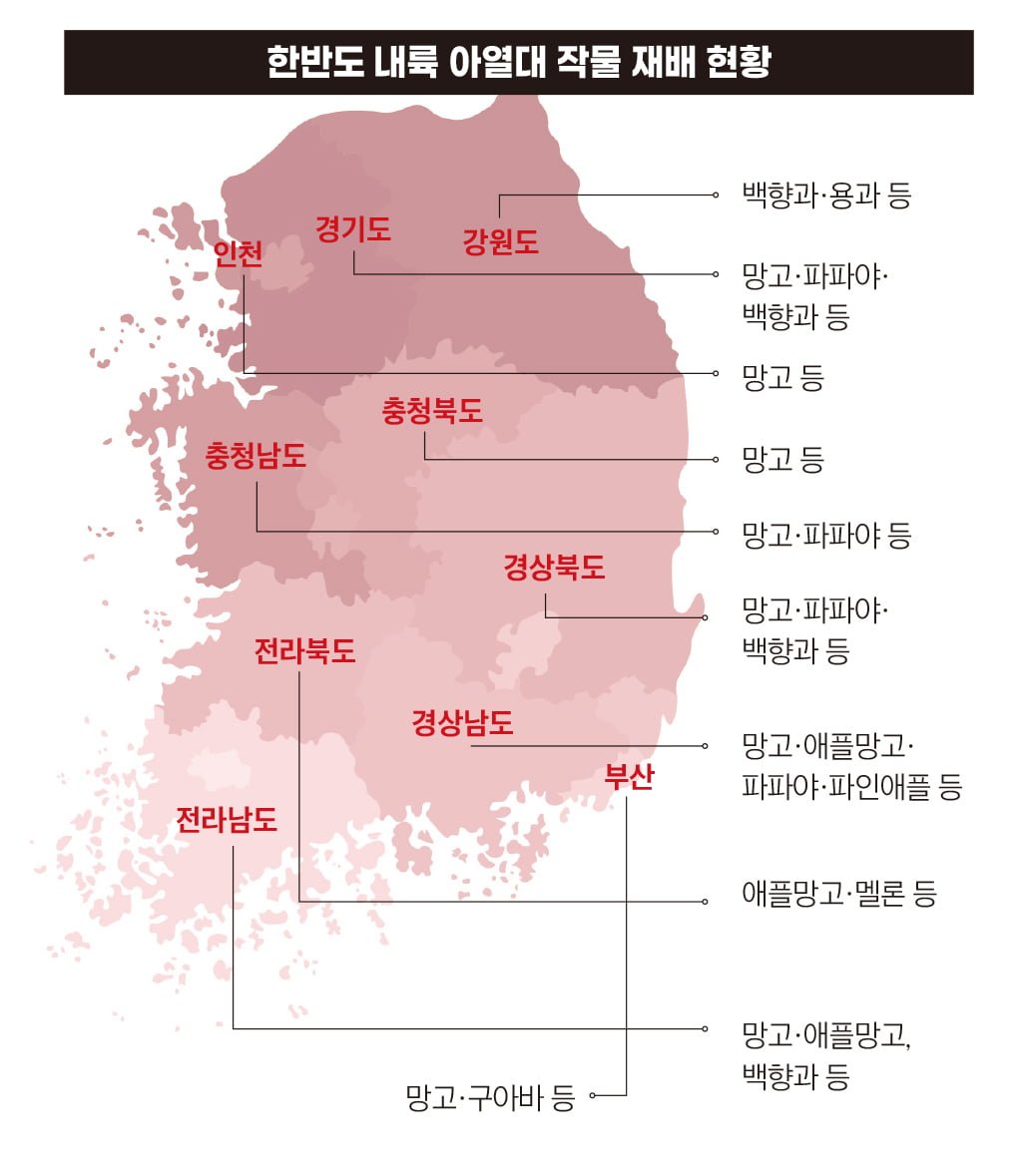 업데이트 된 한반도 과일지도.jpg | 인스티즈