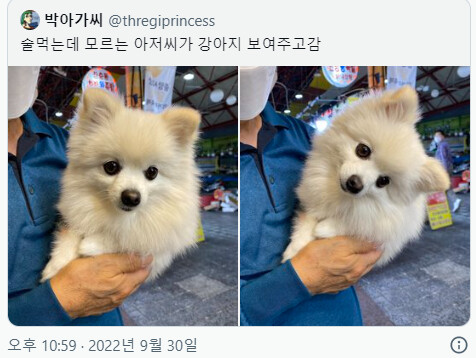술먹는데 모르는 아저씨가 강아지 보여주고 감.JPG | 인스티즈