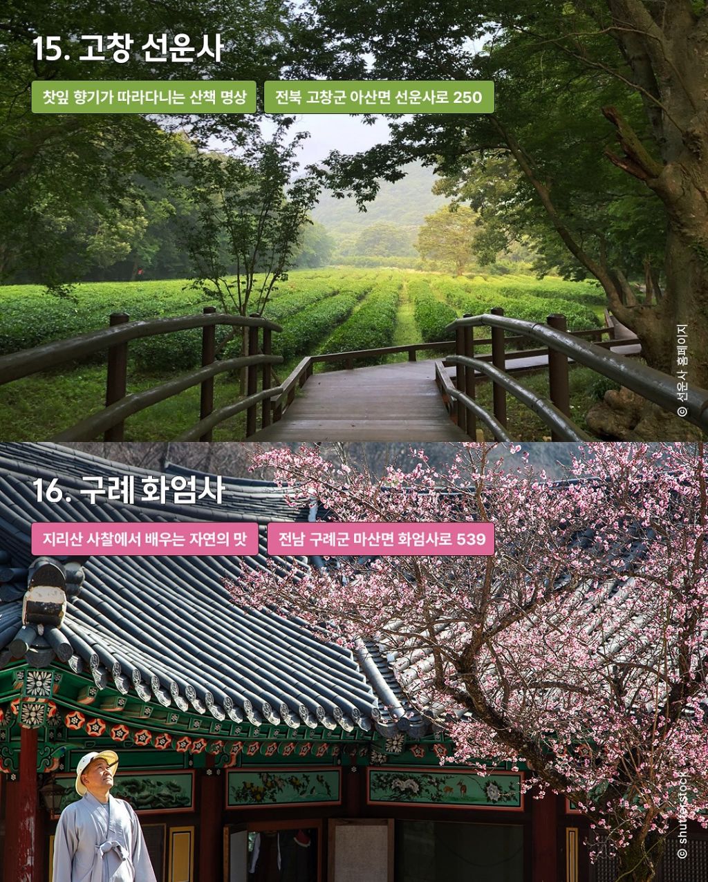 속세 탈출 템플스테이 추천 16곳 | 인스티즈