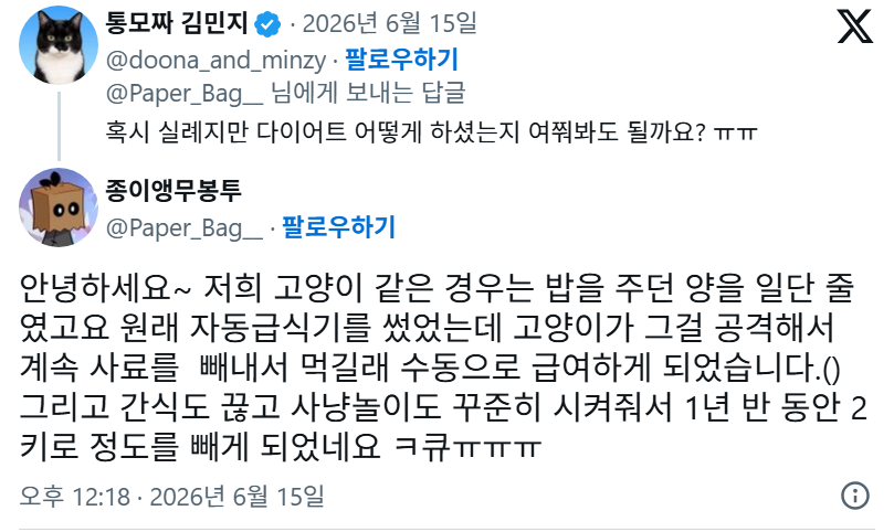기특복복상 내려야하는 2키로 감량한 고양이 | 인스티즈