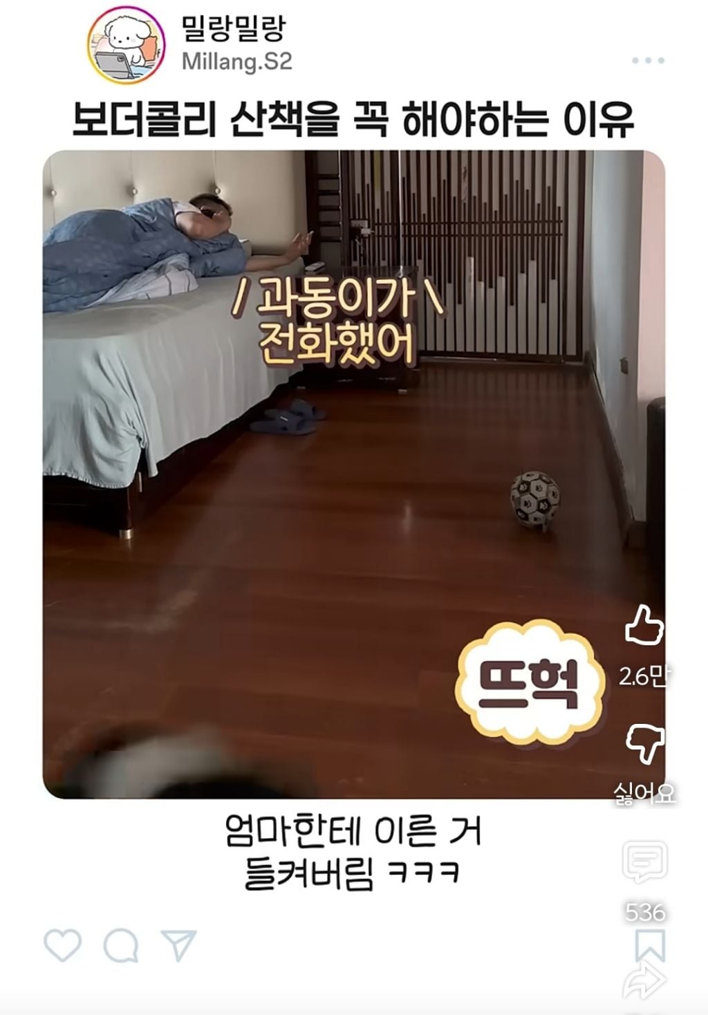 아빠가 산책 안시켜주니까 엄마한테 전화걸어서 일러 바치는 보더콜리 | 인스티즈