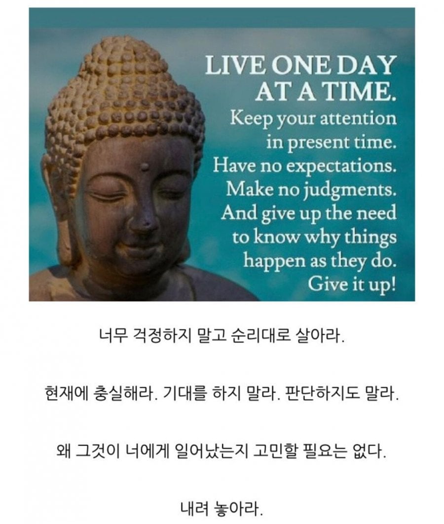마음이 힘들때 보는 불교 명언 모음 | 인스티즈