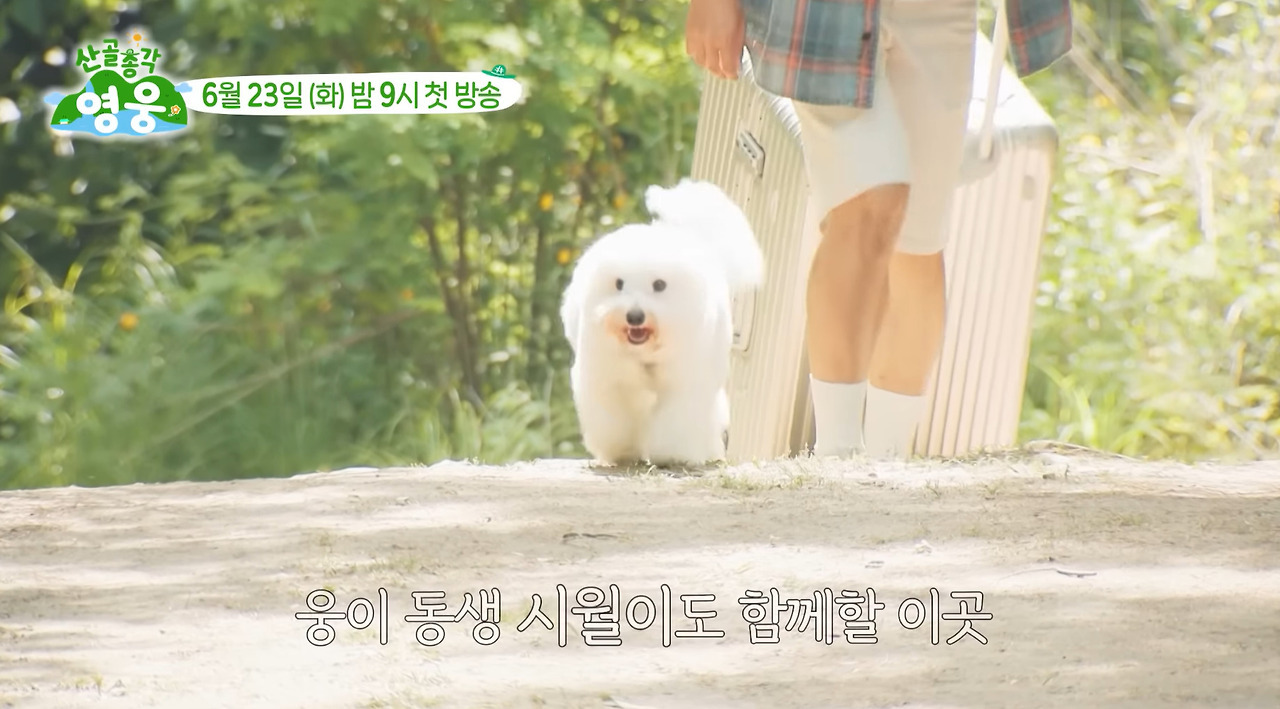 강아지랑 함께 시골로 귀향한 임영웅.jpg | 인스티즈