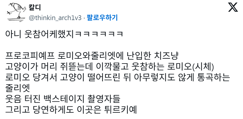 튀르키예에서 로미오와 줄리엣 공연하는데 고양이가 갑자기 무대에 들어와서 로미오 머리카락 쥐어뜯음 | 인스티즈