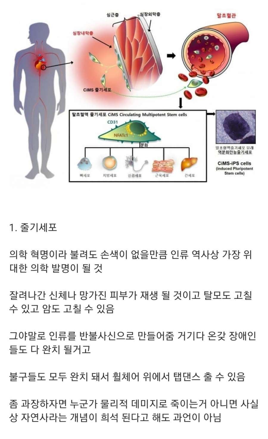 만들면 인류를 완전히 바꿀 발명품 3가지 | 인스티즈