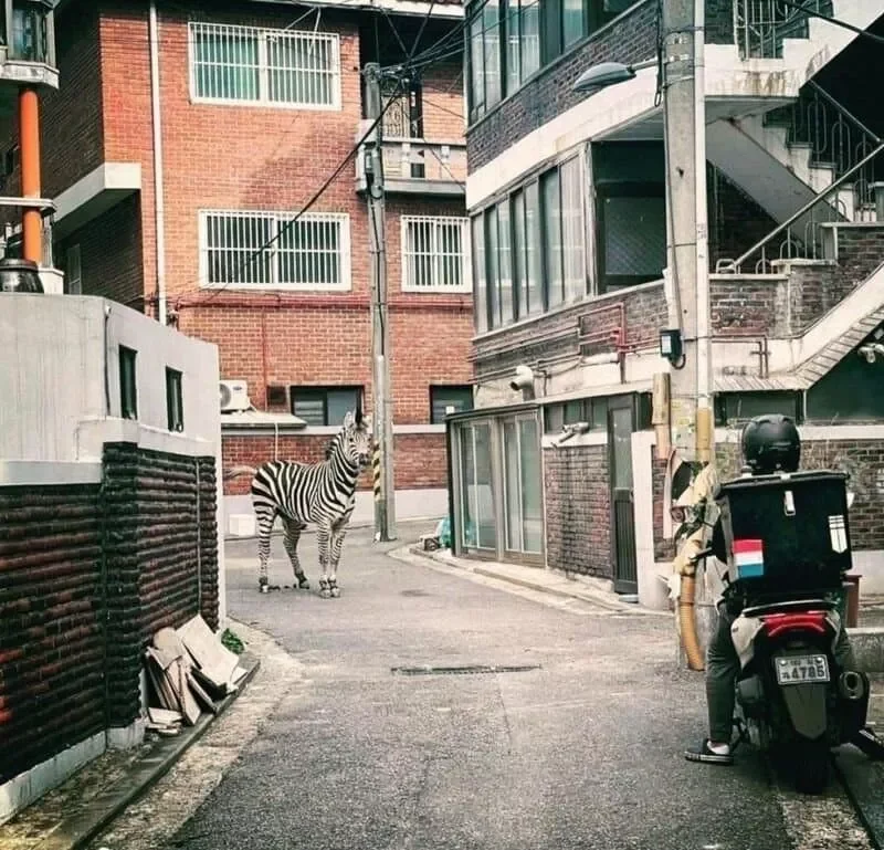 대한민국 역대 퓰리처상 후보들 | 인스티즈
