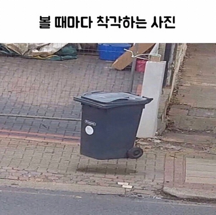 볼 때마다 착각하는 사진 | 인스티즈