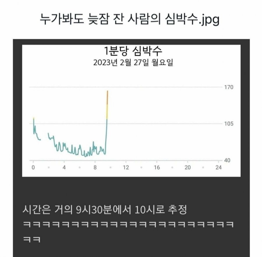 늦잠 잔 사람의 심박수 그래프 | 인스티즈