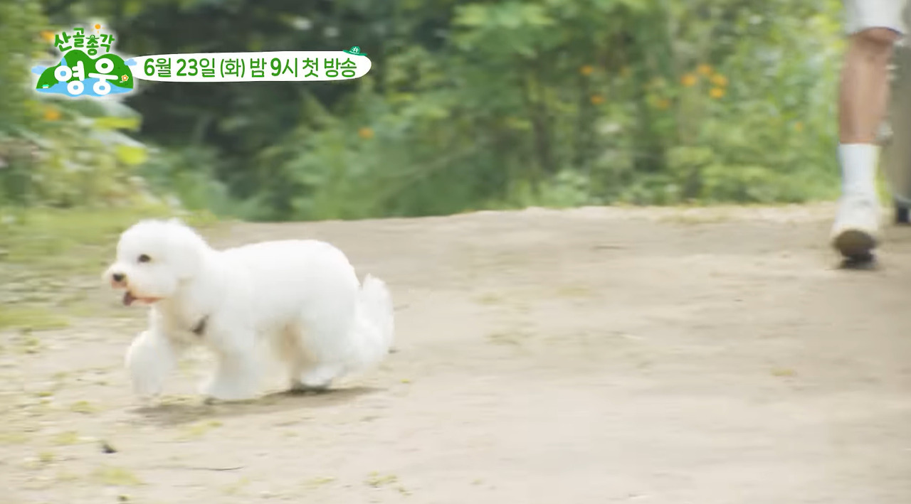 강아지랑 함께 시골로 귀향한 임영웅.jpg | 인스티즈