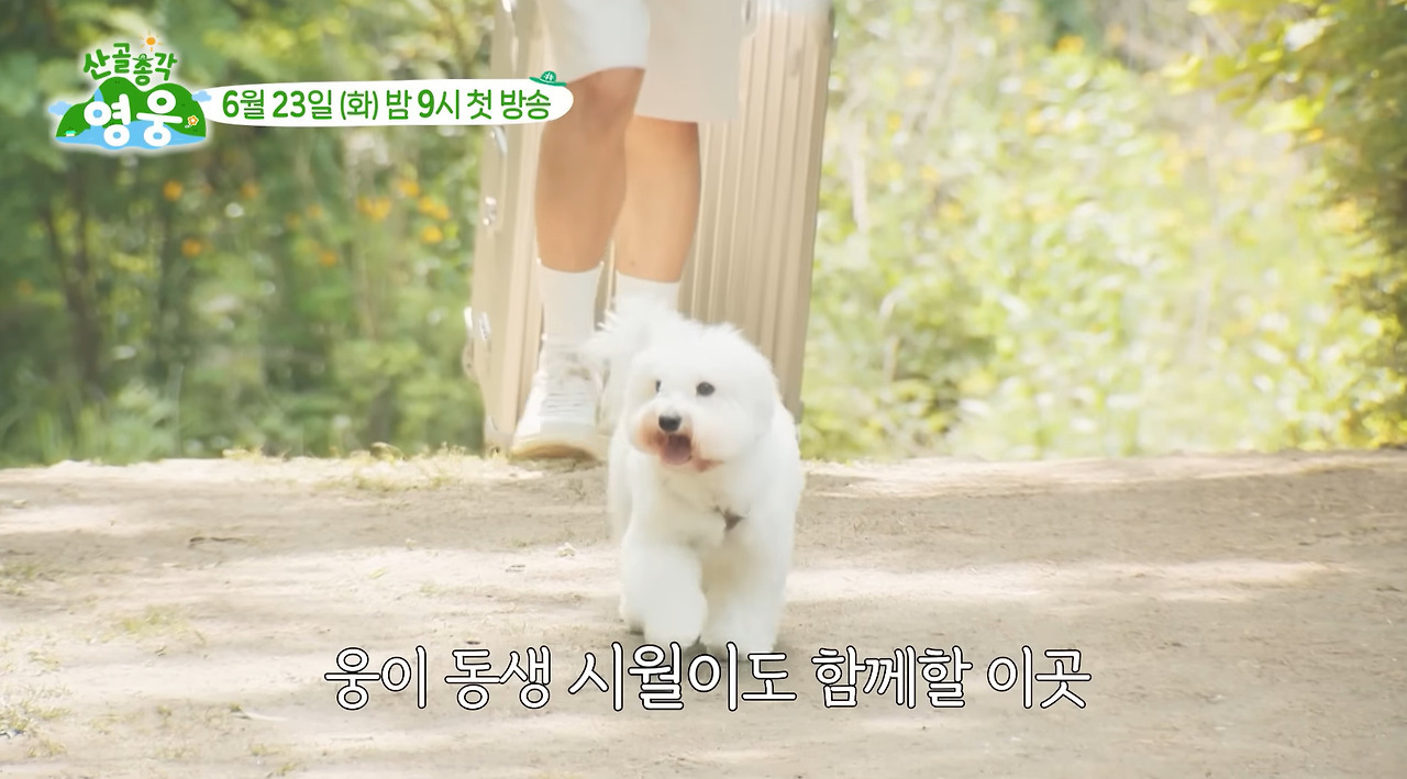 강아지랑 함께 시골로 귀향한 임영웅.jpg | 인스티즈