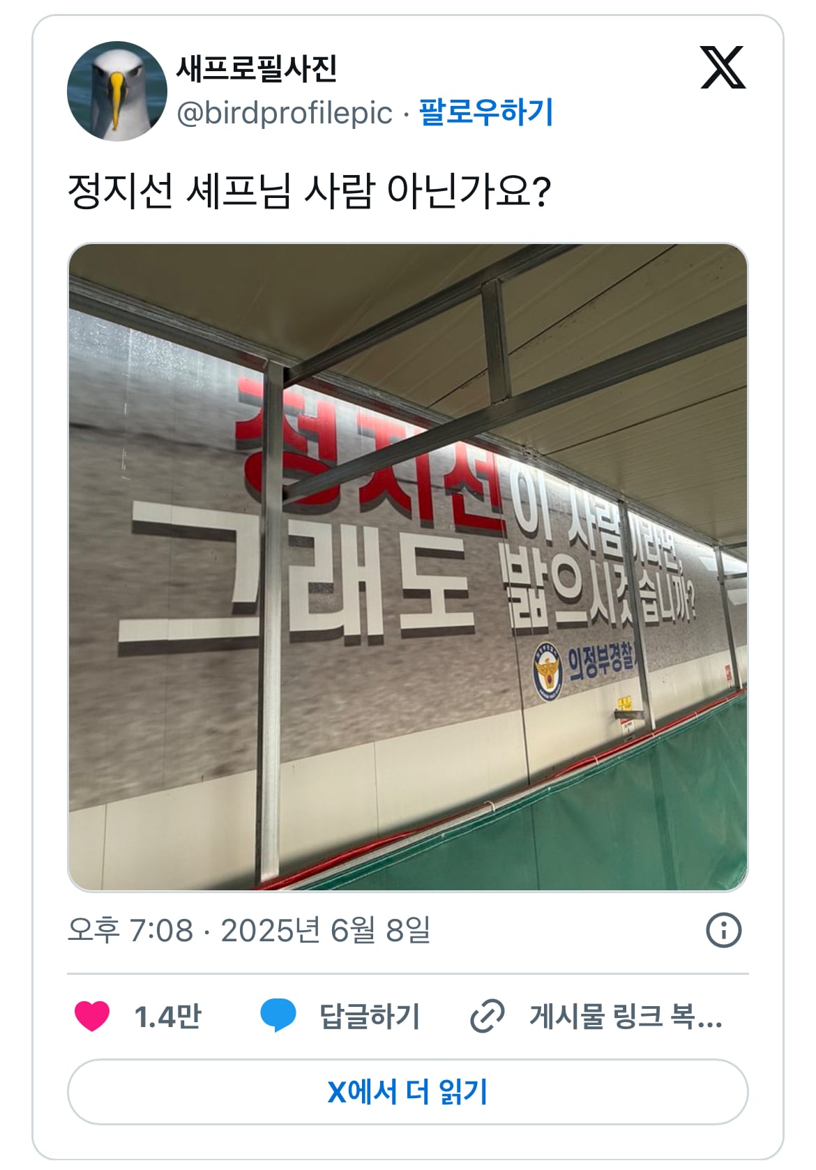 정지선이 사람이라면 그래도 밟으시겠습니까? | 인스티즈