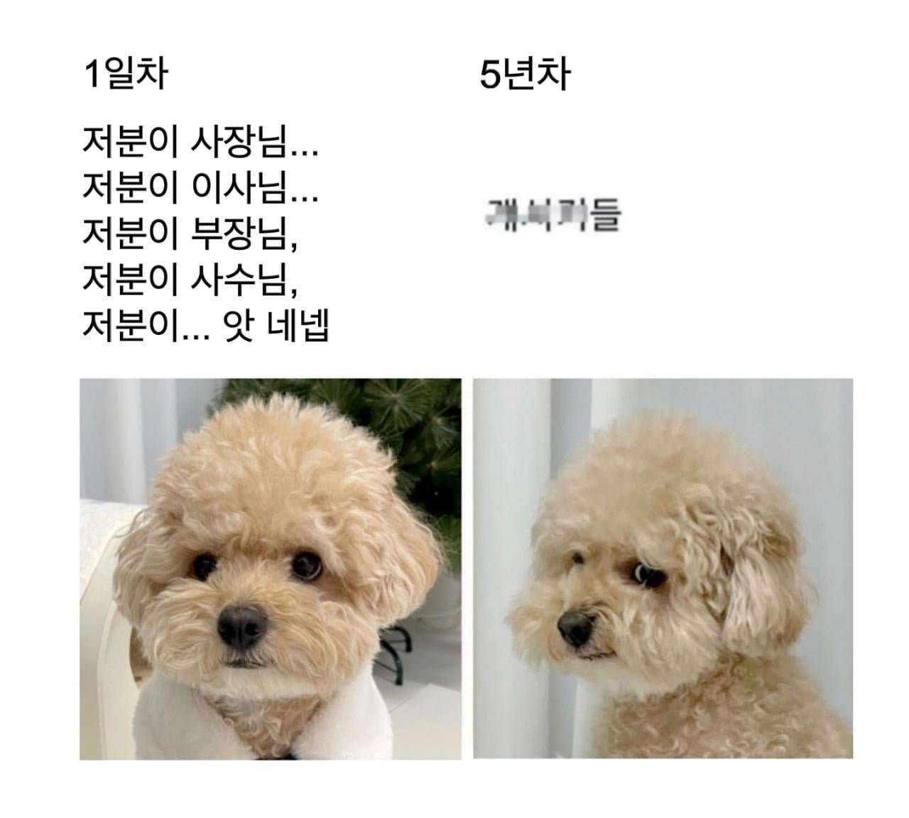 직장생활 1일차 VS 5년차 | 인스티즈