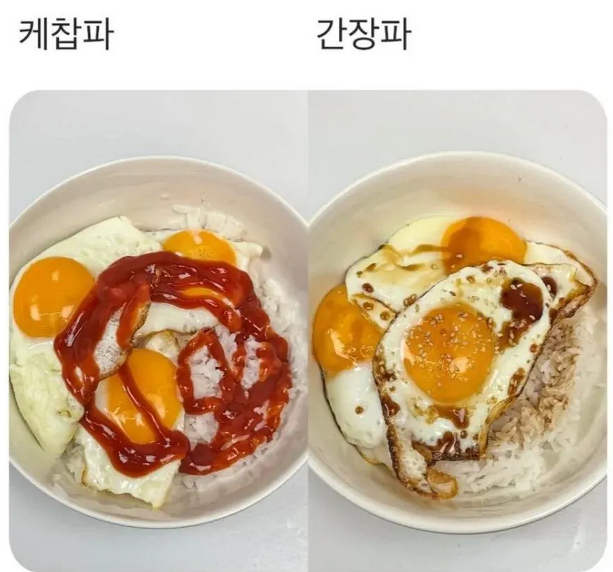 계란후라이밥 취향 | 인스티즈