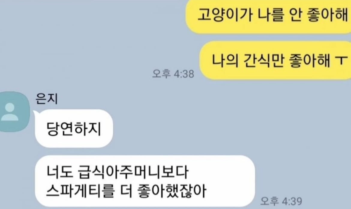 고양이가 나 말고 간식을 좋아해ㅜㅜ | 인스티즈