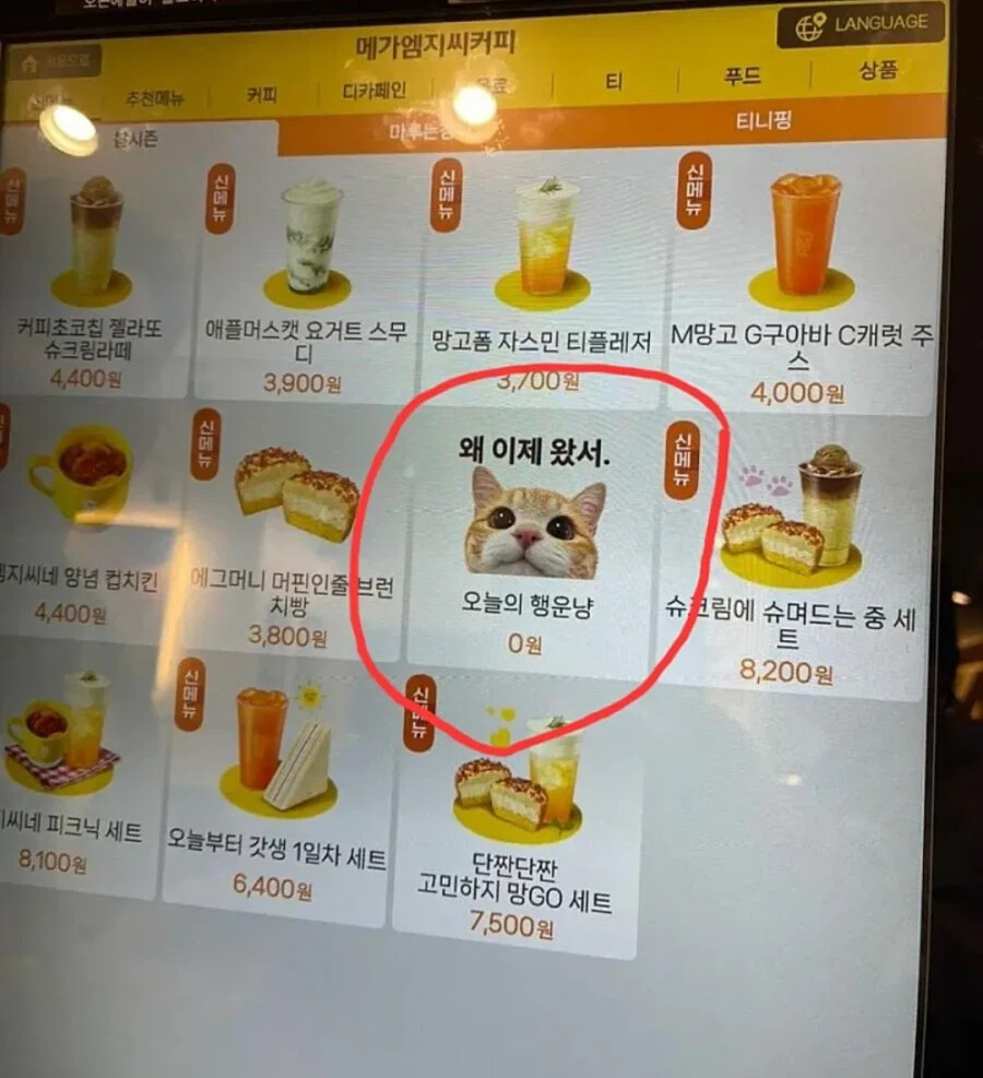 메가커피 메뉴 | 인스티즈