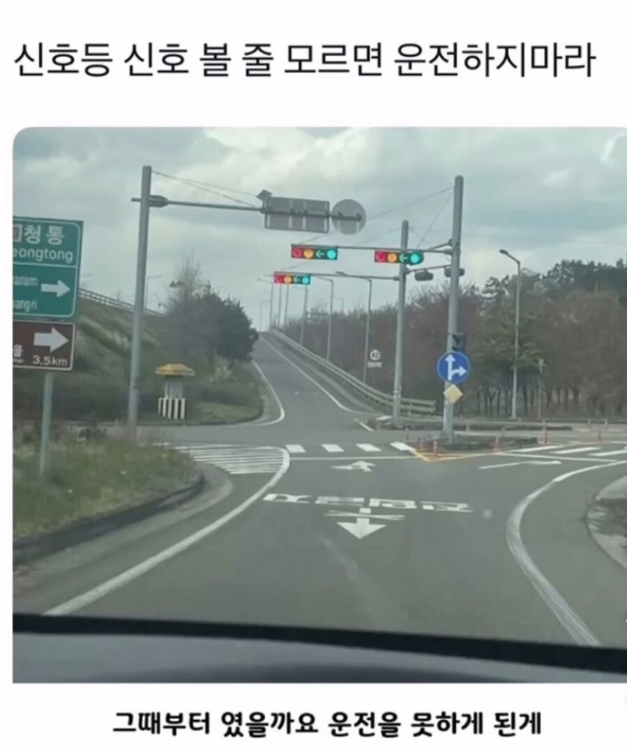 신호등 신호 볼 줄 모르면 운전하면 안됨 | 인스티즈