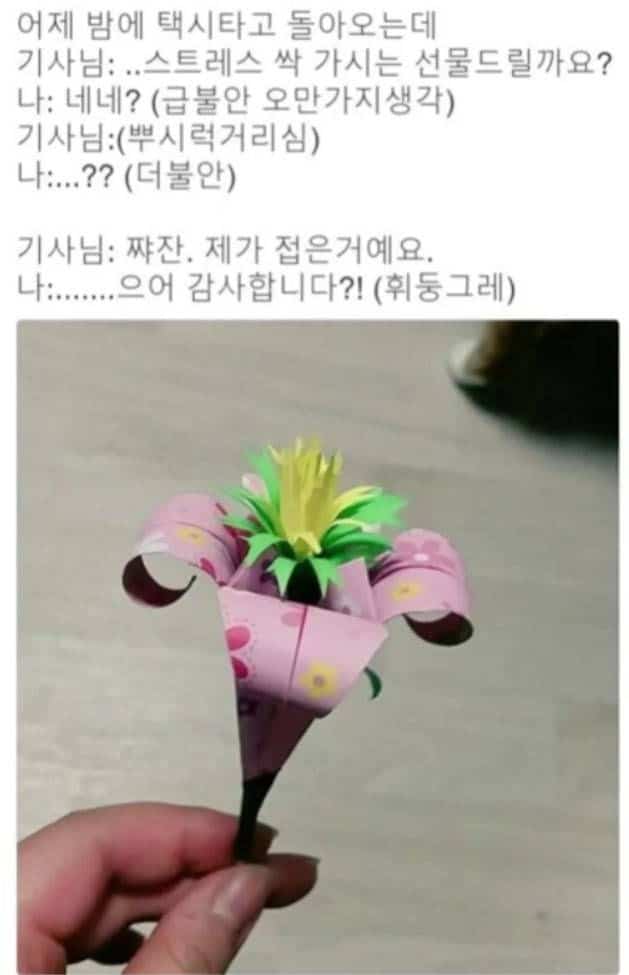 택시 기사가 여자 손님에게 선물한 것 | 인스티즈