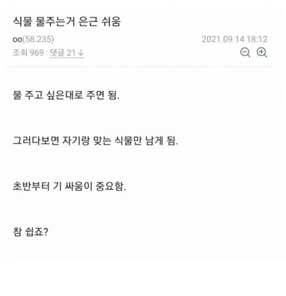 식물에 물 주는 주기랑 양 잘 모를 때 좋은 방법 | 인스티즈