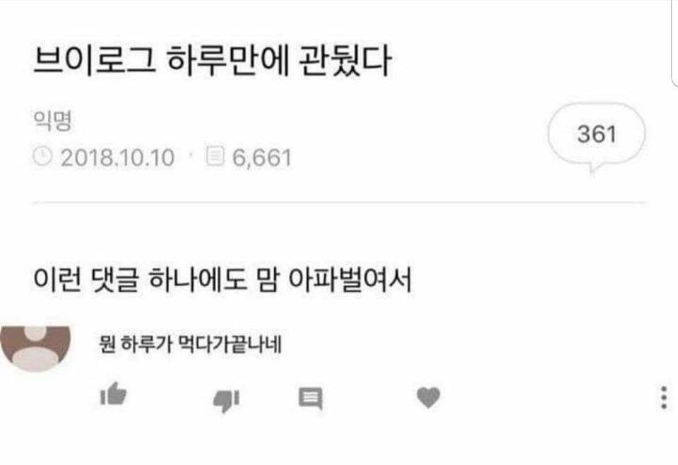 브이로그 하루만에 관둔 까닭 | 인스티즈