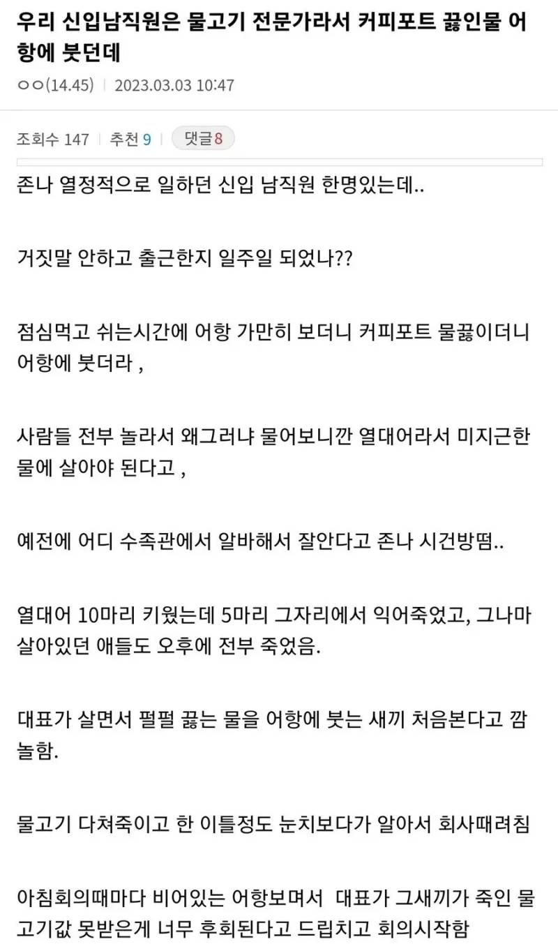 물고기 전문가 신입.ssul | 인스티즈