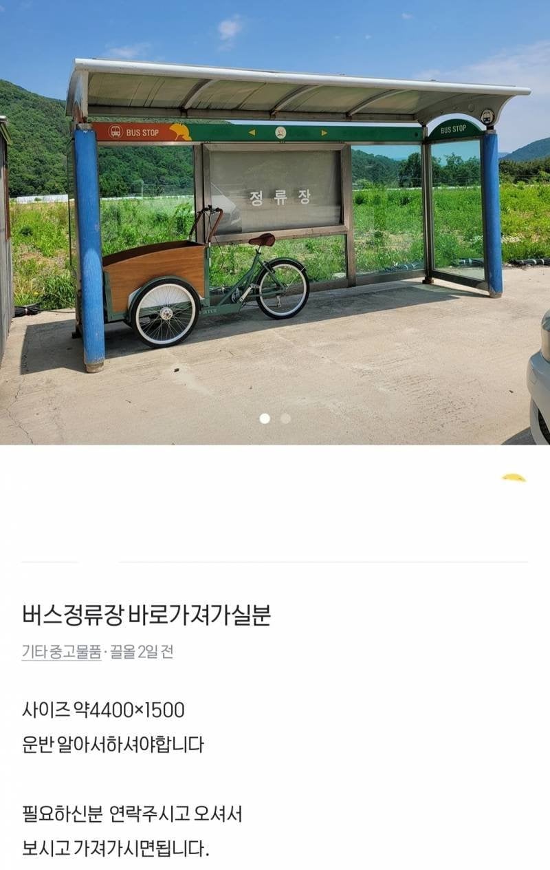 별결 다 파는 시골 당근 | 인스티즈