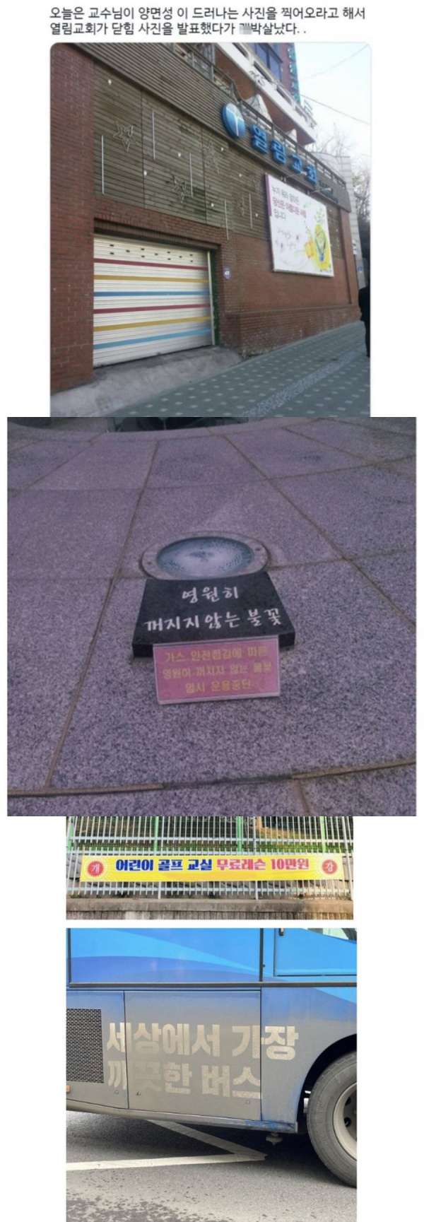 교수님이 양면성이 드러나는 사진 찍어오라고 함 | 인스티즈