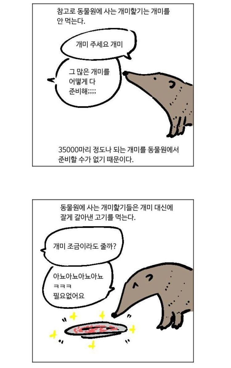 어떻게 이름이 개미햝기 | 인스티즈