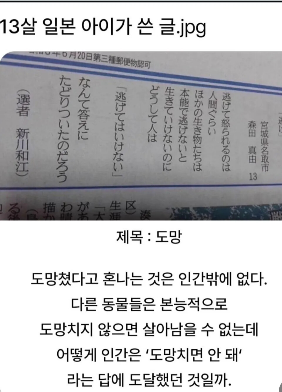 13살 일본 아이가 쓴 글 | 인스티즈