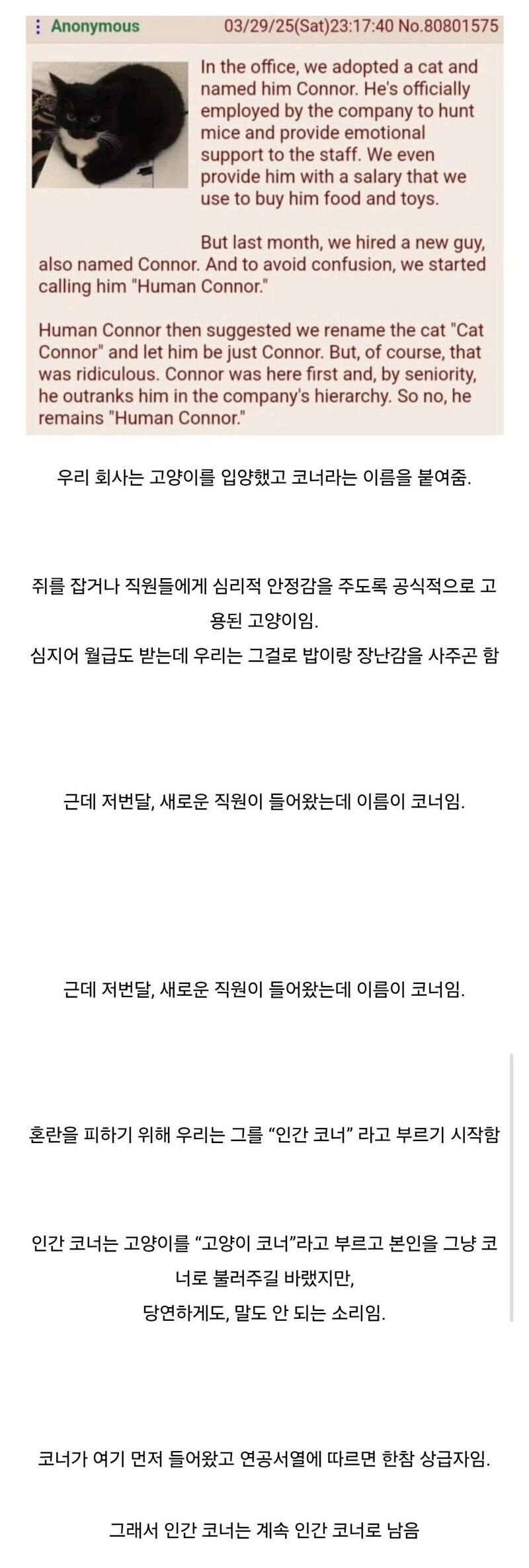 미국의 직장내 연공서열 문화 | 인스티즈