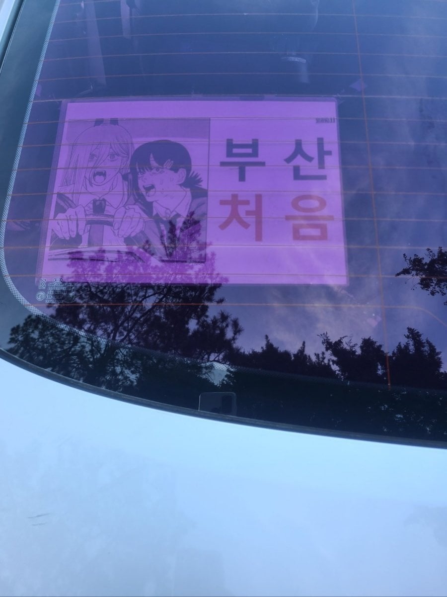 부산운전이 처음이면 필수인것 | 인스티즈