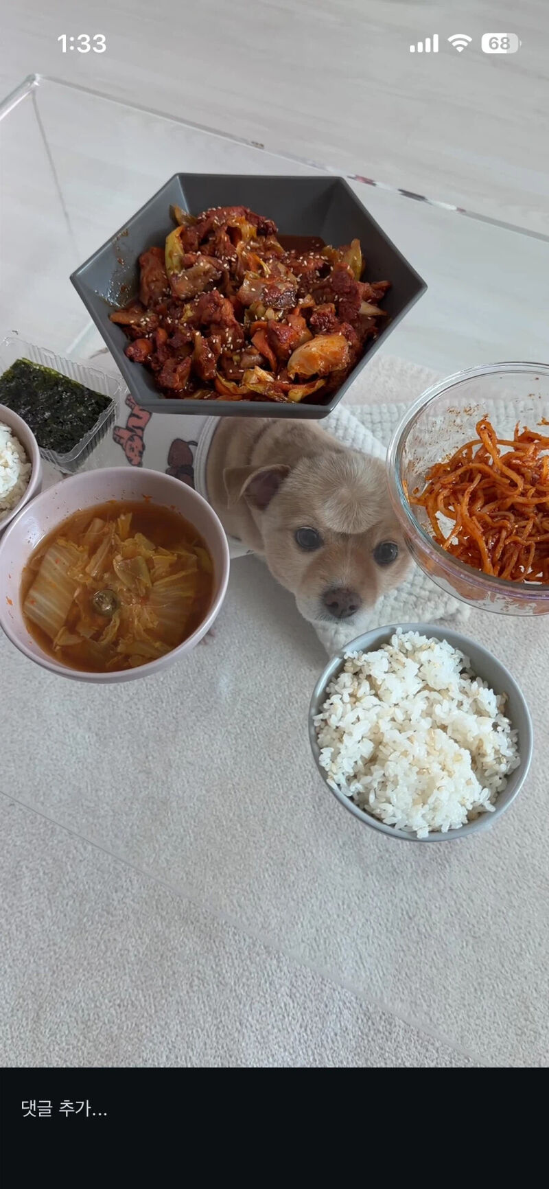 이마에 이상한 자국이 있는 개 | 인스티즈