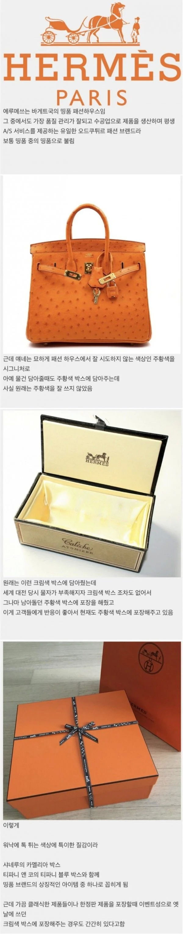 에르메스 상징색이 주황색인 이유.jpg | 인스티즈