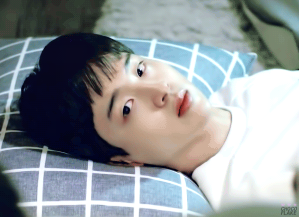 물과 기름처럼 절대 섞일 수 없다는, 남자 연예인 취향 소나무 양대산맥.gif | 인스티즈