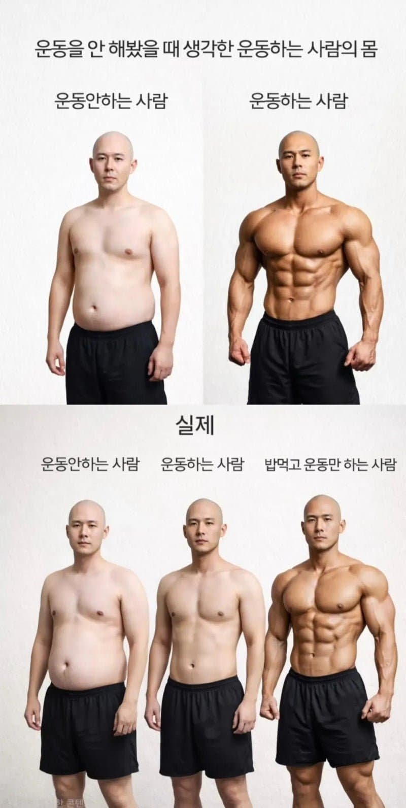 운동하는 사람 몸 | 인스티즈