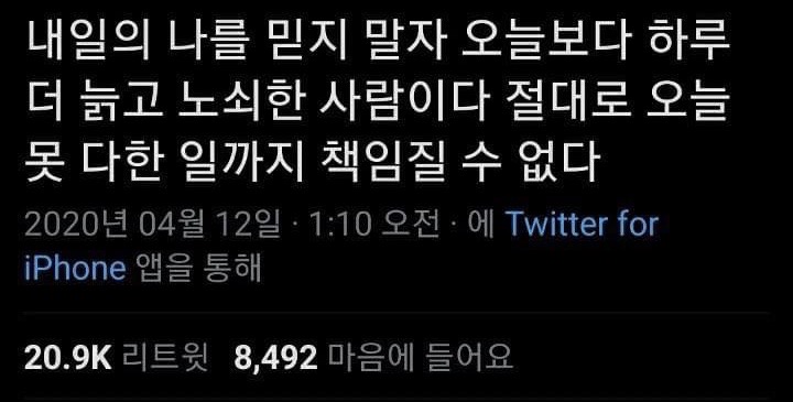오늘 할 일을 내일로 미룬 트짹이 | 인스티즈