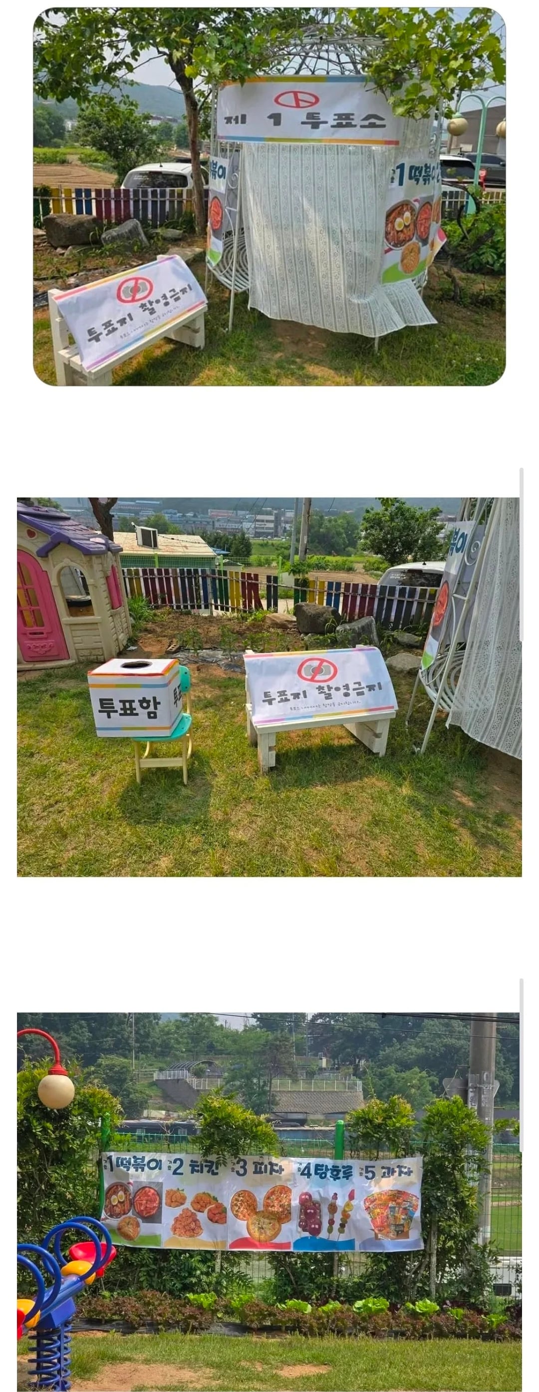 피 터지는 유치원 선거 | 인스티즈