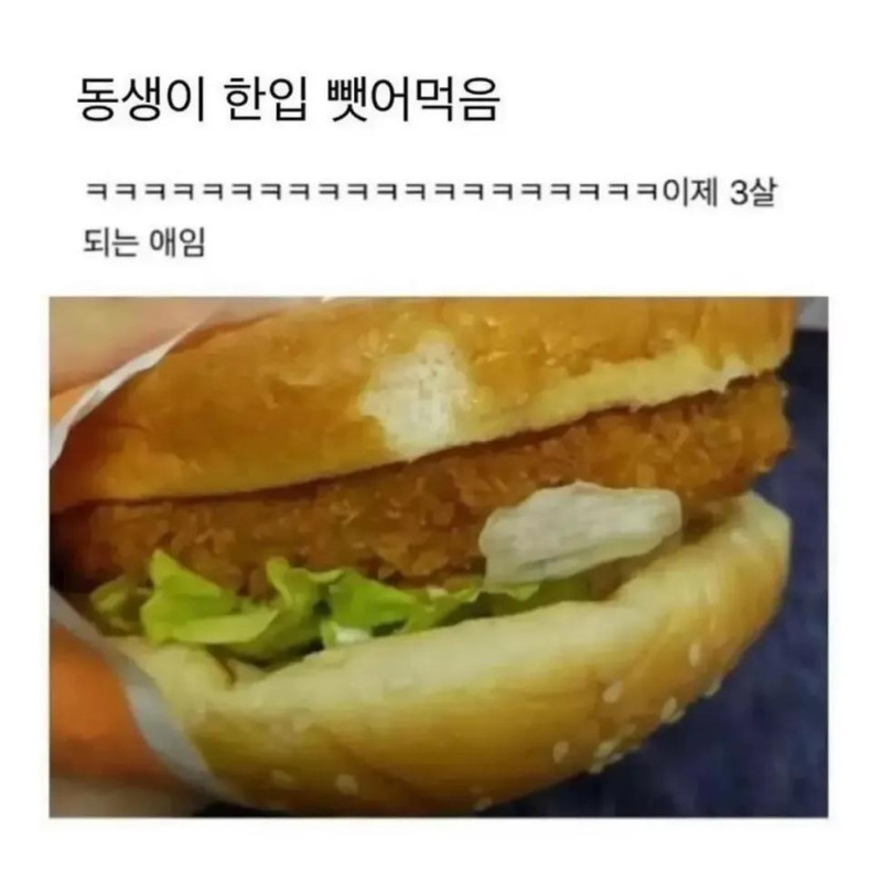 동생이 햄버거 한입만 달라고 함 | 인스티즈