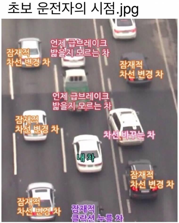 초보운전자의 시점 | 인스티즈