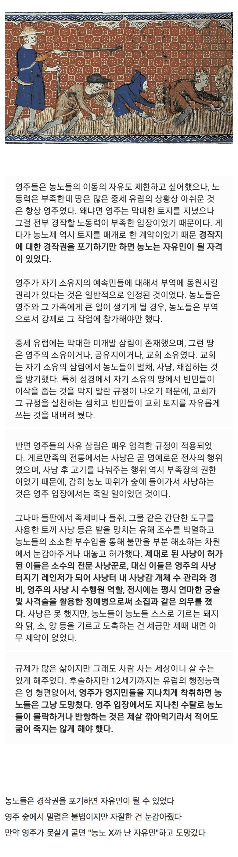 중세 농노들이 영주들을 엿맥였던 법 | 인스티즈